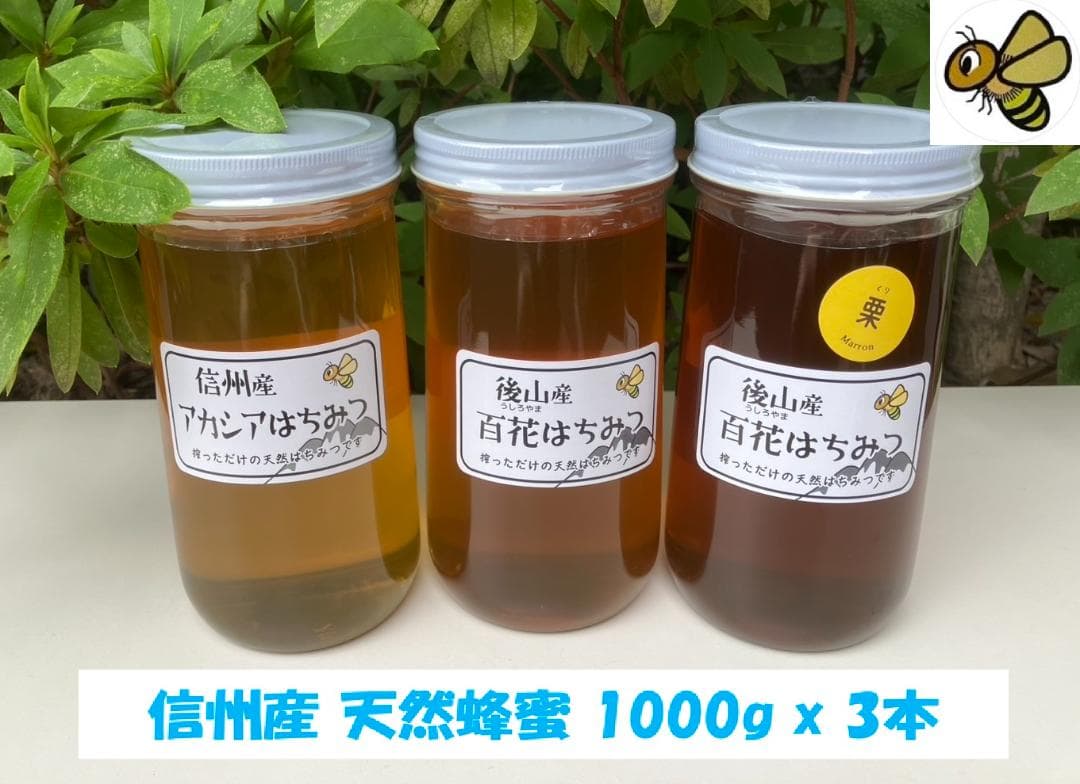 国産蜂蜜 1000g 3本セット 信州産 アカシア 百花 栗 セイヨウミツバチ