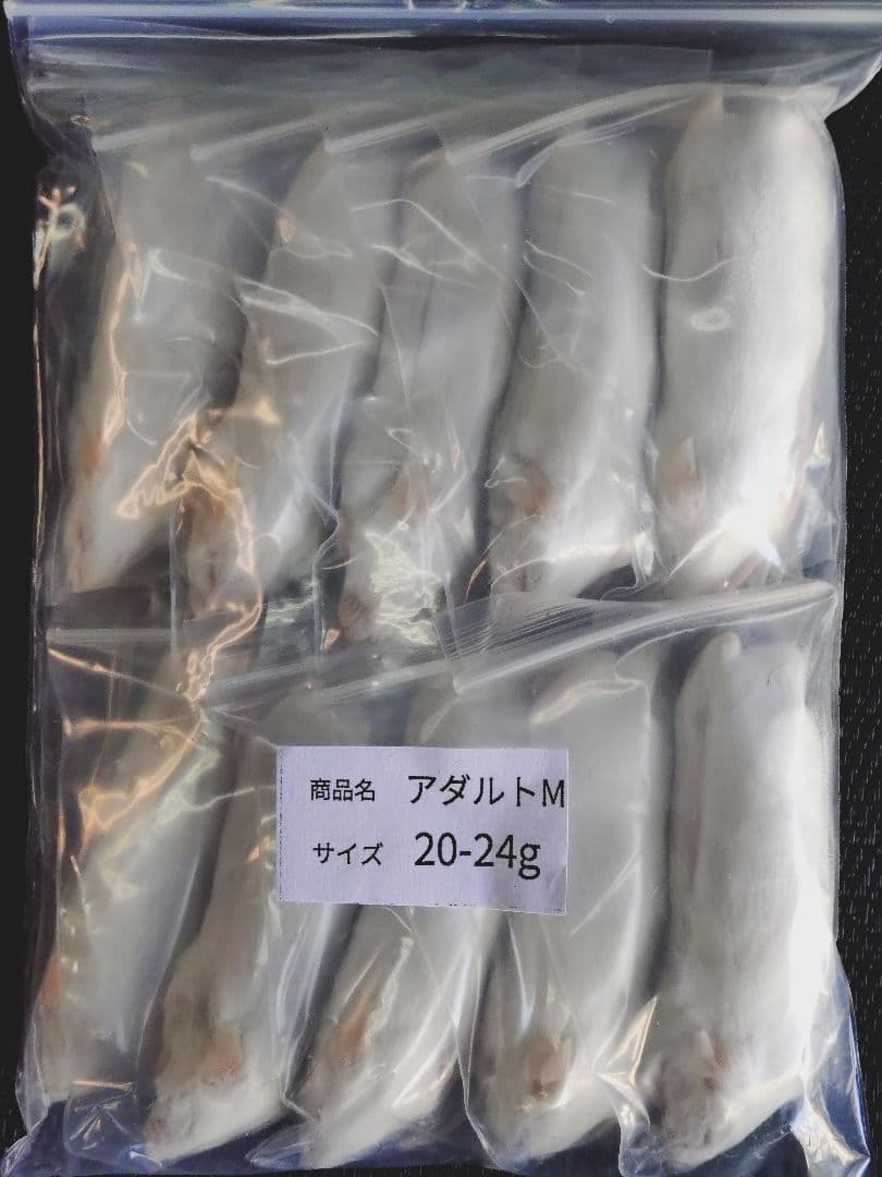 送料無料 冷凍マウスアダルトM50匹　アダルトＬ50匹