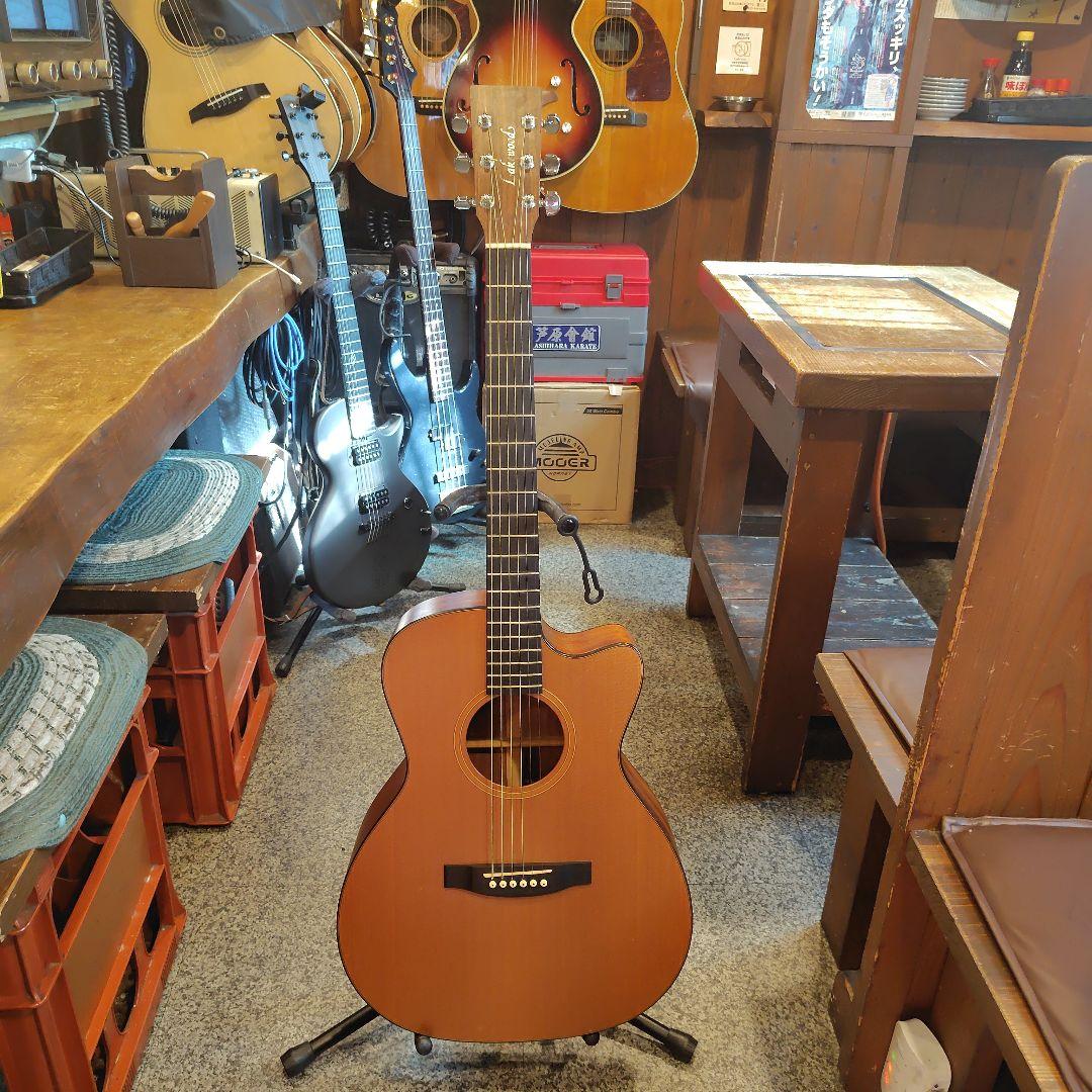 ギター Lakewood M-1