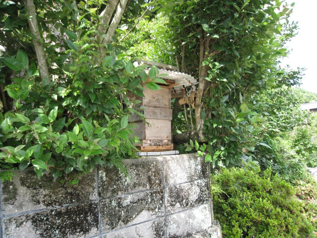 ♥️極み♦稀少限定コラボ品『100％純粋春蜜と幻の天然完熟秋蜜の食べ比べ』