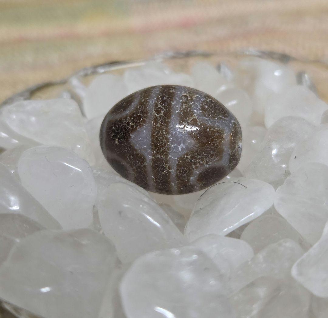 052　天珠　楕円形　虎牙蓮花天珠　dzibeads！