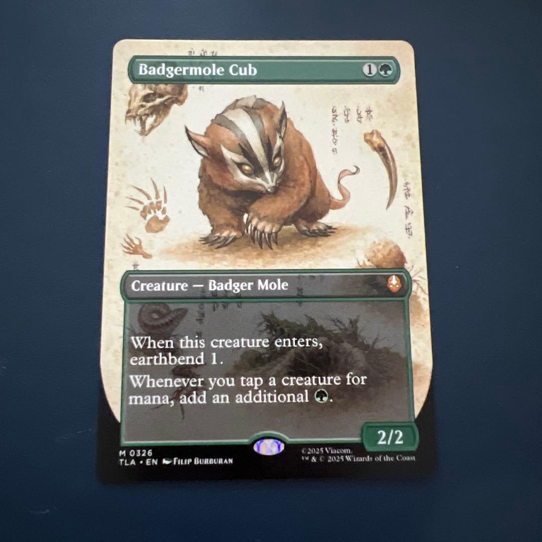 【mtg】アナグマモグラの仔 英語版ボーダーレス アバター 伝説の少年アンTLA