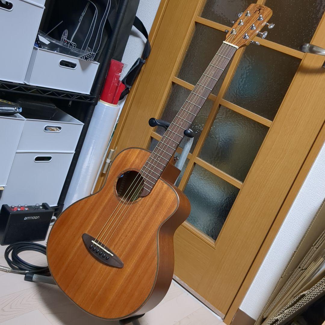1/3まで aNueNue aNN-M20E ギター