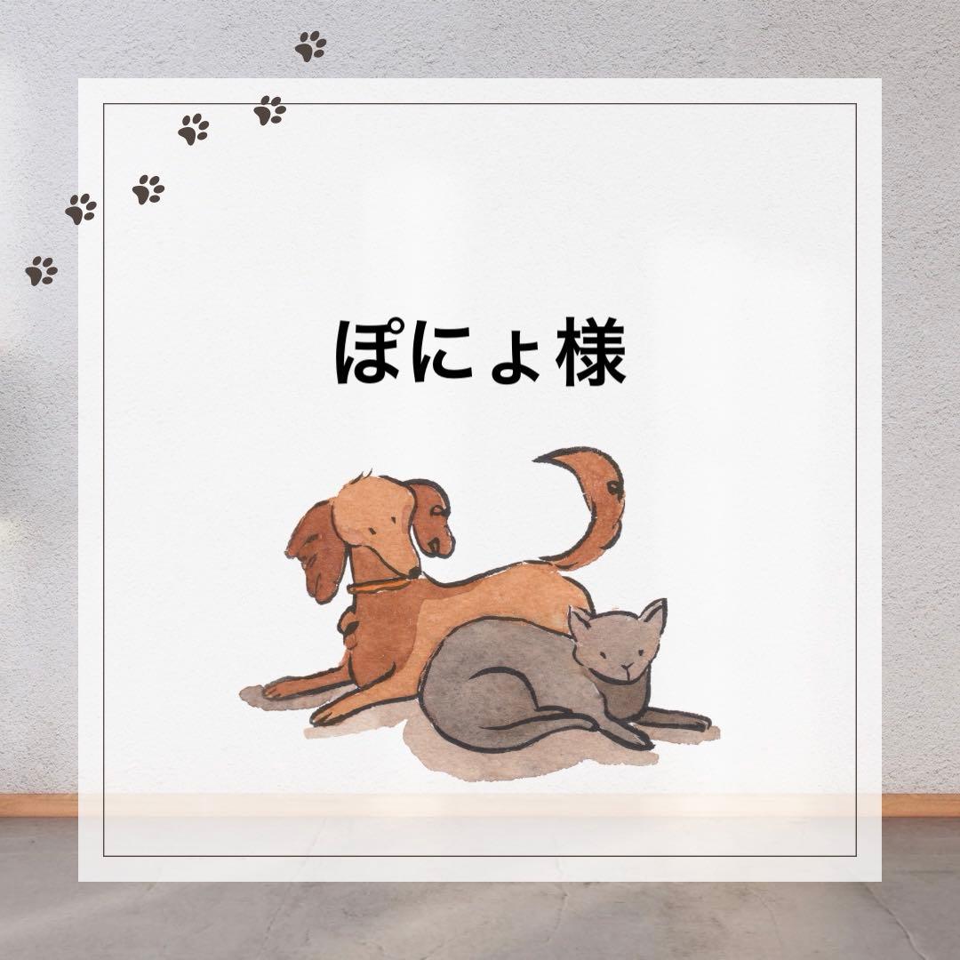 ぽにょ様