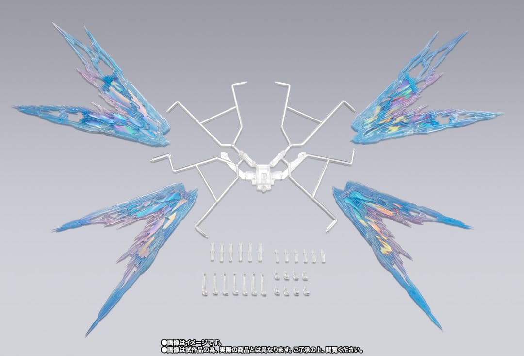 L BUILD ストライクフリーダム FESTIVAL 2024＋光の翼