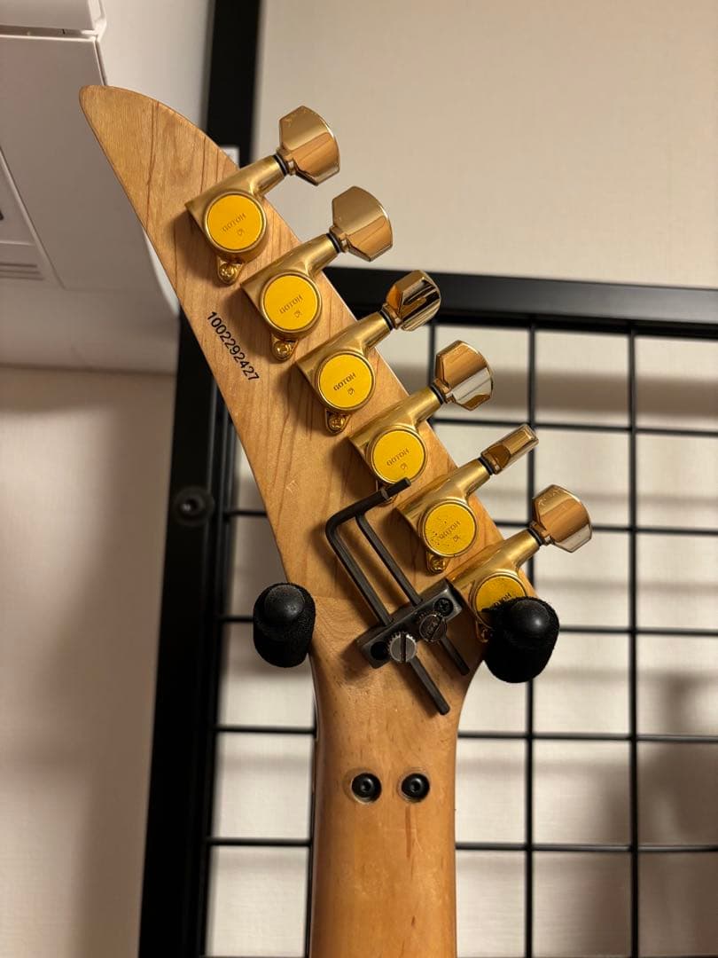 クレーマーランディV