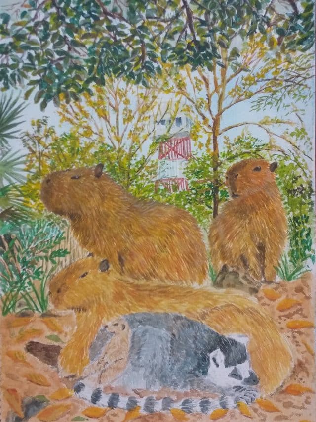ときわ動物園