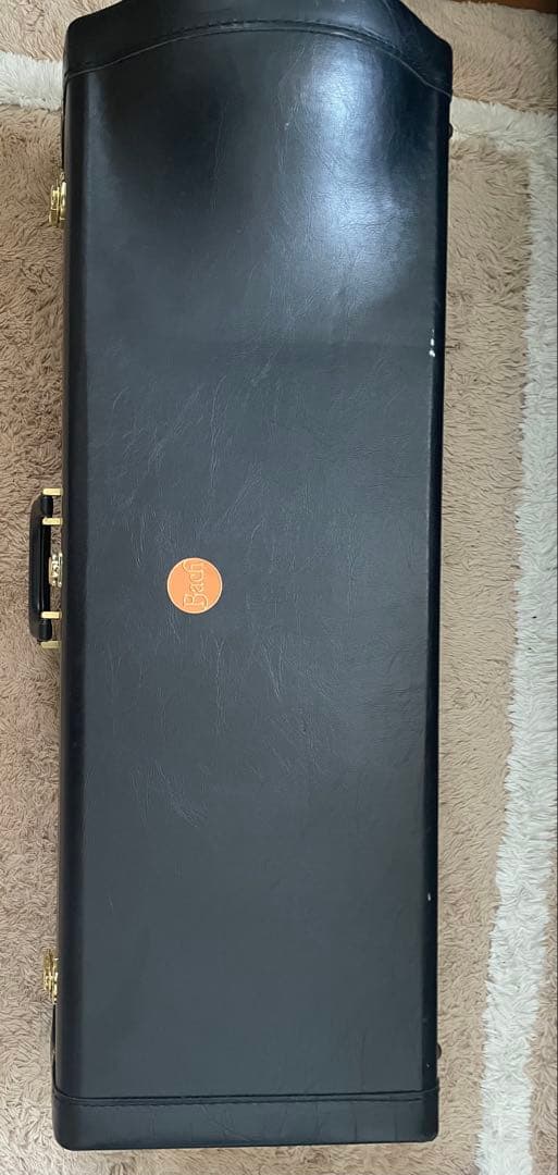 Bach 50B2LOGB バストロンボーン