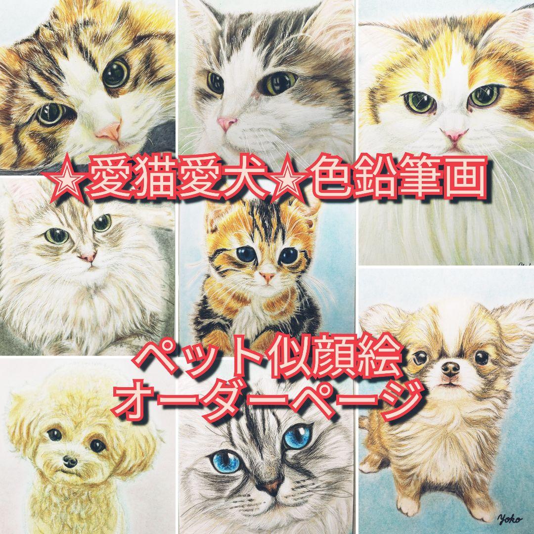色鉛筆画✭愛猫愛犬✭ペット似顔絵　肖像画　イラスト　注文オーダー　受付ページ　1