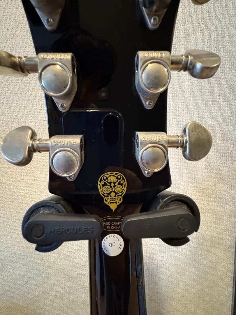 ギター Epiphone Shinichi Ubukata ES-355 Ver.01