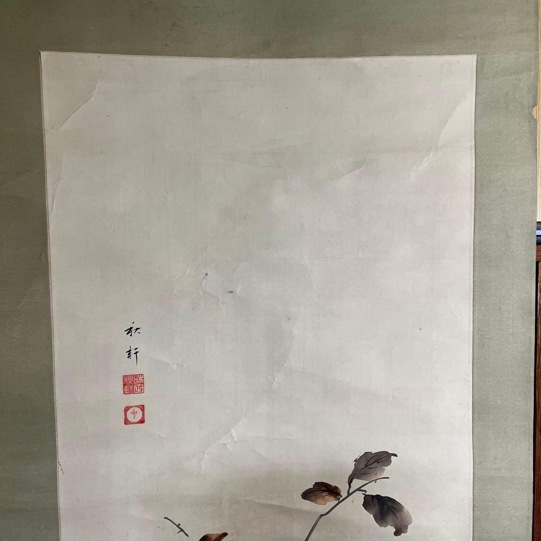 菊柿　掛け軸