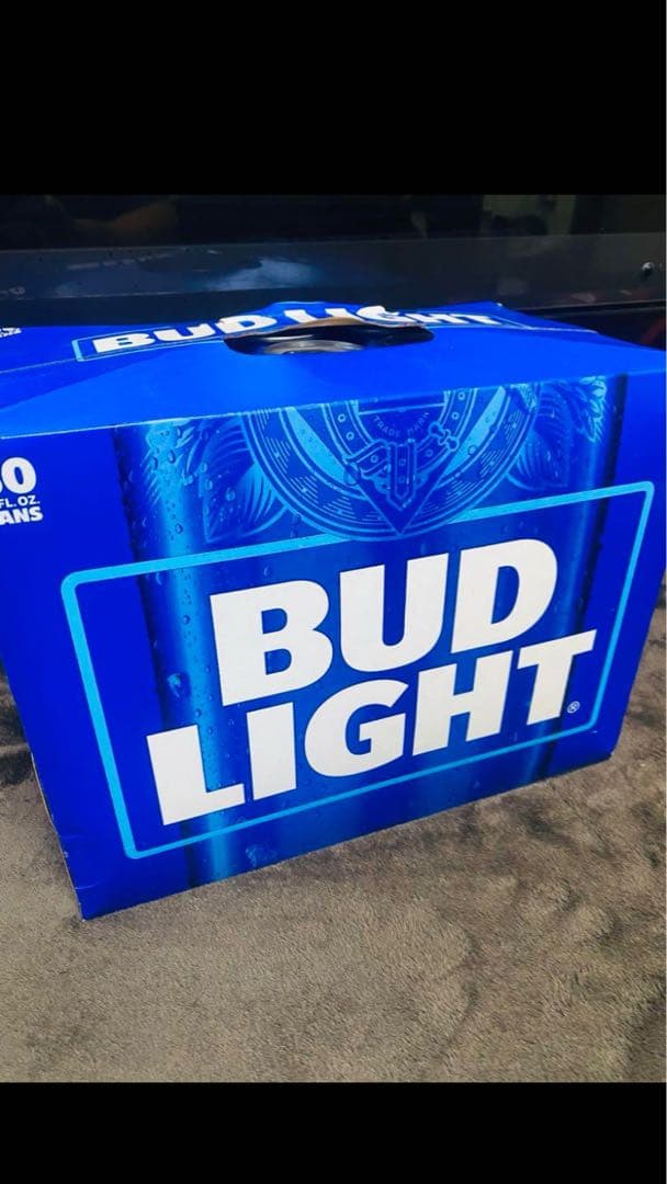 バドライト（BUD LIGHT） 355ml×30