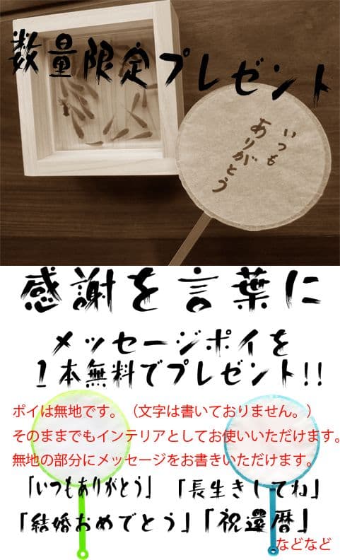 ポメラニアン 犬 イヌ いぬ クマノミ ぽぽち ペット 動物 アート プレゼント