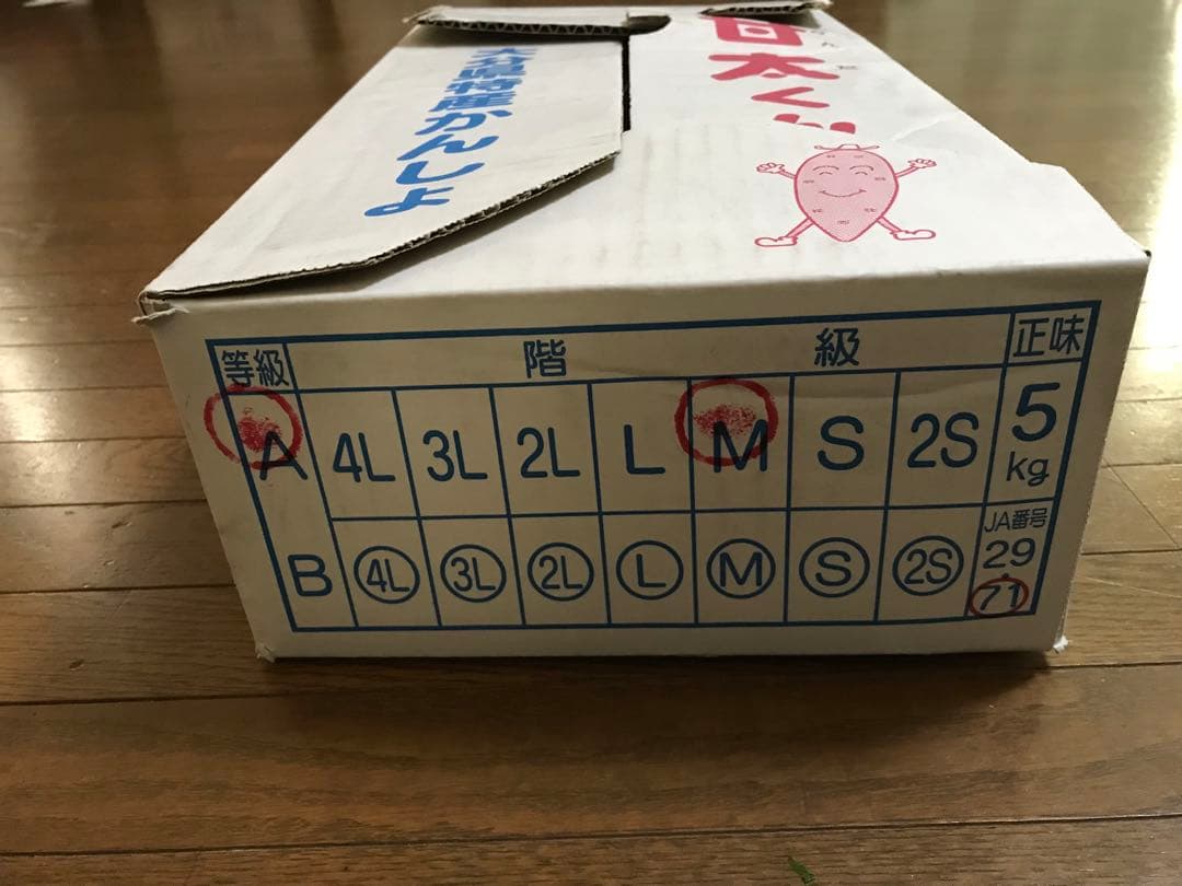 南国の山ちゃん！大分県産　甘太くんA品Mサイズ　25キロ