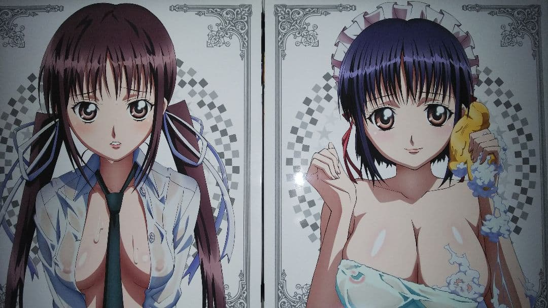 (DVD無し)(中古品・開封品)プリンセスラバー 初回限定版vol,1～6