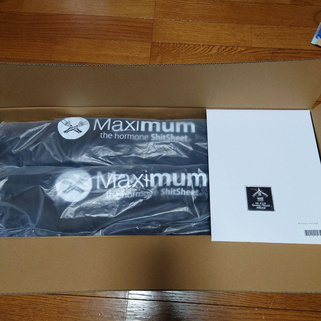 プルーフ付2脚セット マキシマムザホルモン　アウトドアチェア