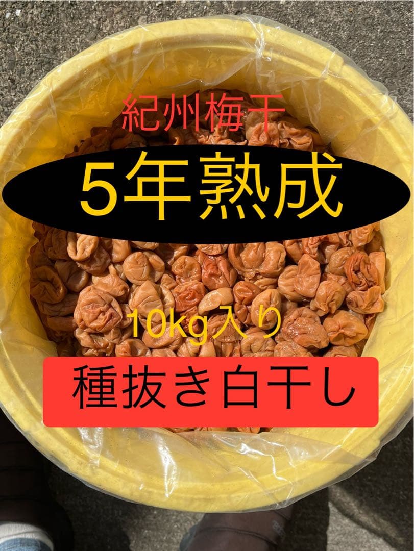 紀州5年熟成種抜き梅干　白干し　無添加　10kg入り　在庫①