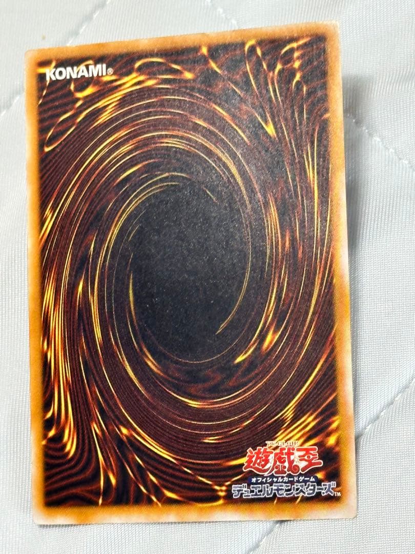 【濃厚青艶】青眼の白龍　レリーフ　sm-51 無加工