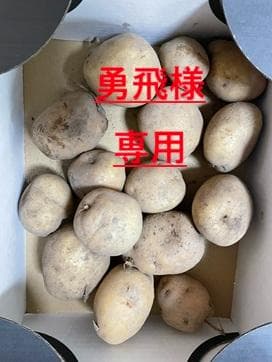 勇飛