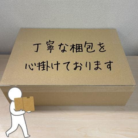 DJI Mic Mini（2 TX + 1 RX + 充電ケース） ピンマイクp