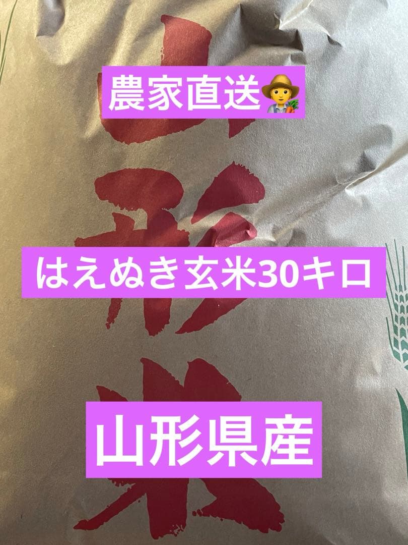 令和7年産 山形県産はえぬき玄米30キロ　農家直送