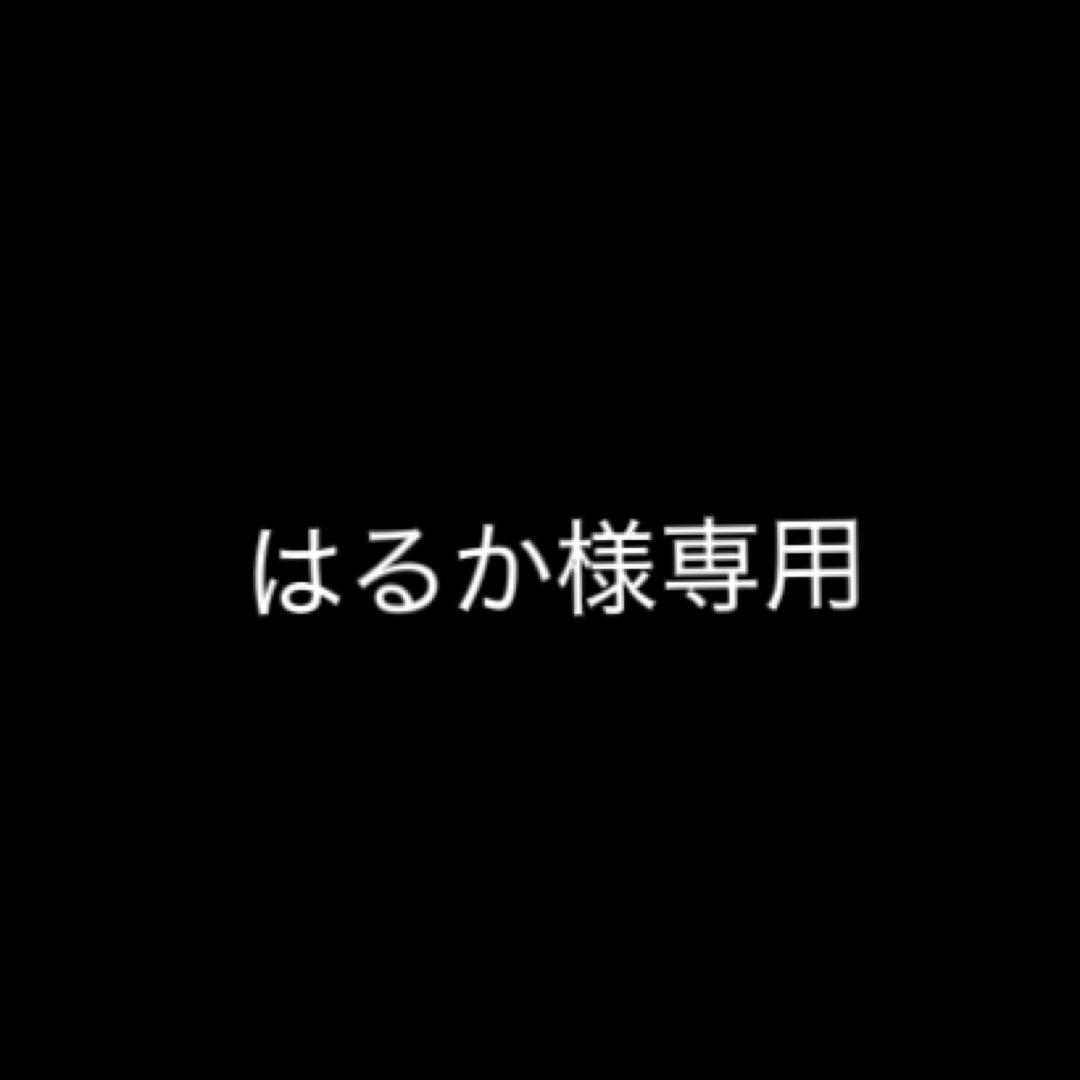 はるかページ