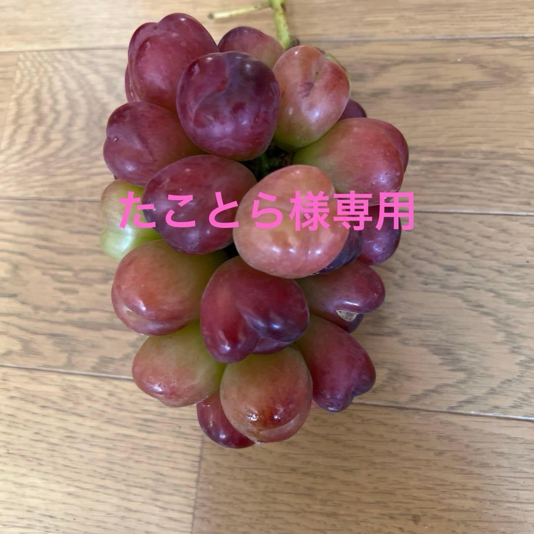 たことら