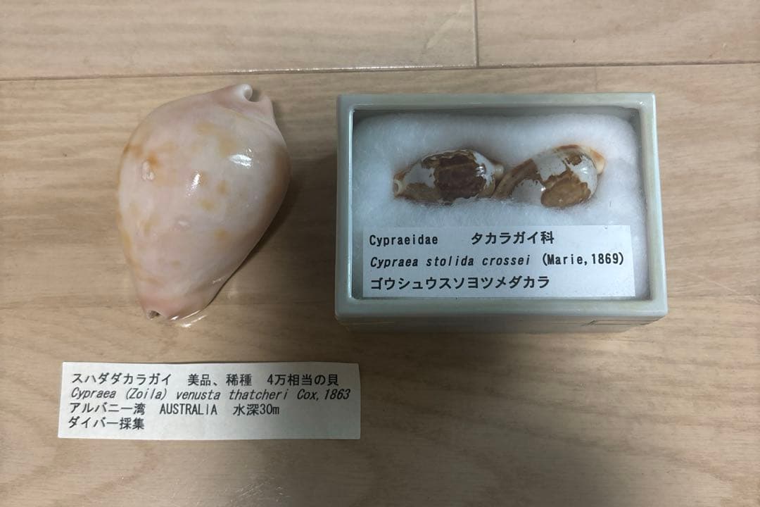 へっぽこ