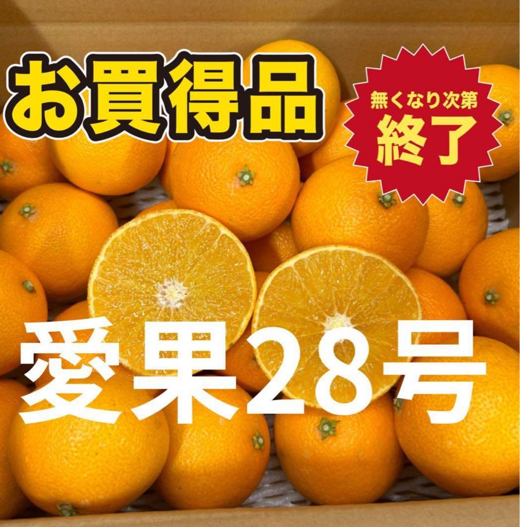 数量限定　愛媛県産　愛果28号まどんな5キロ（箱込み）　✖️2箱　農家直送