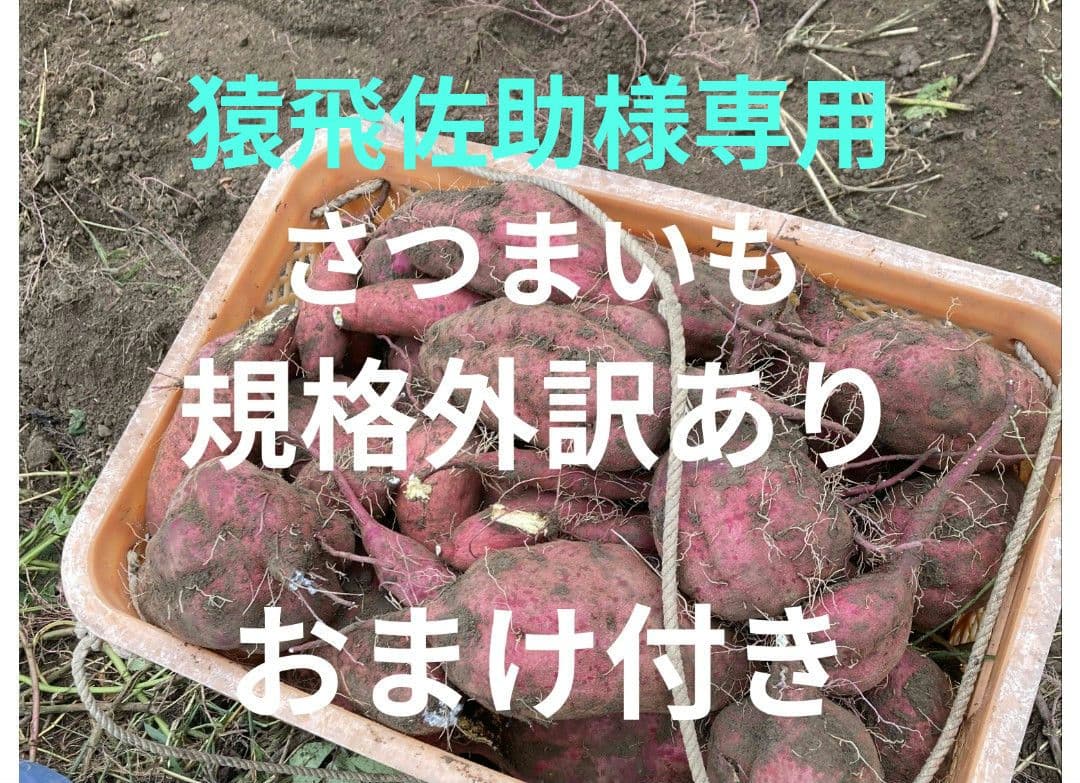 猿飛佐助規格外さつまいも おまけ付き箱込み２０キロ以下