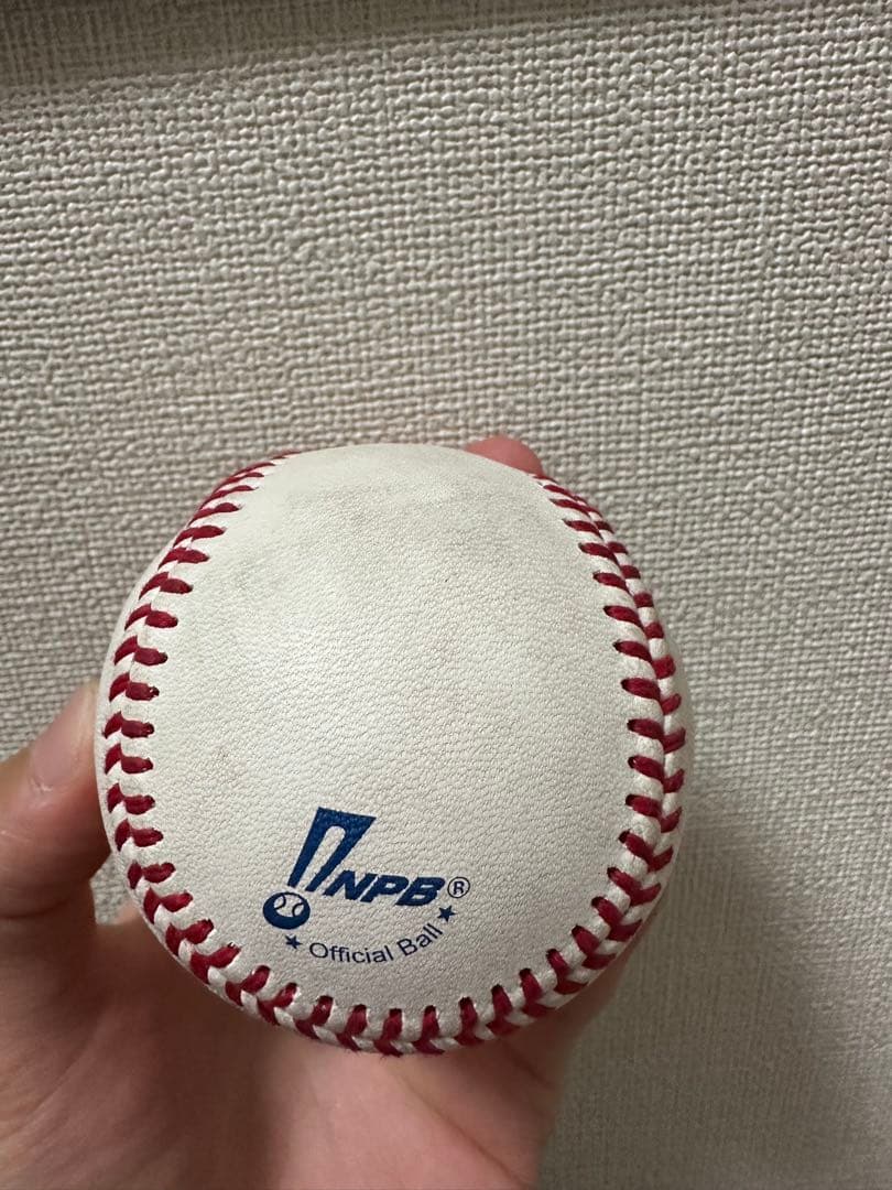 千葉ロッテ佐藤選手ホームランボール 2024年09月21日