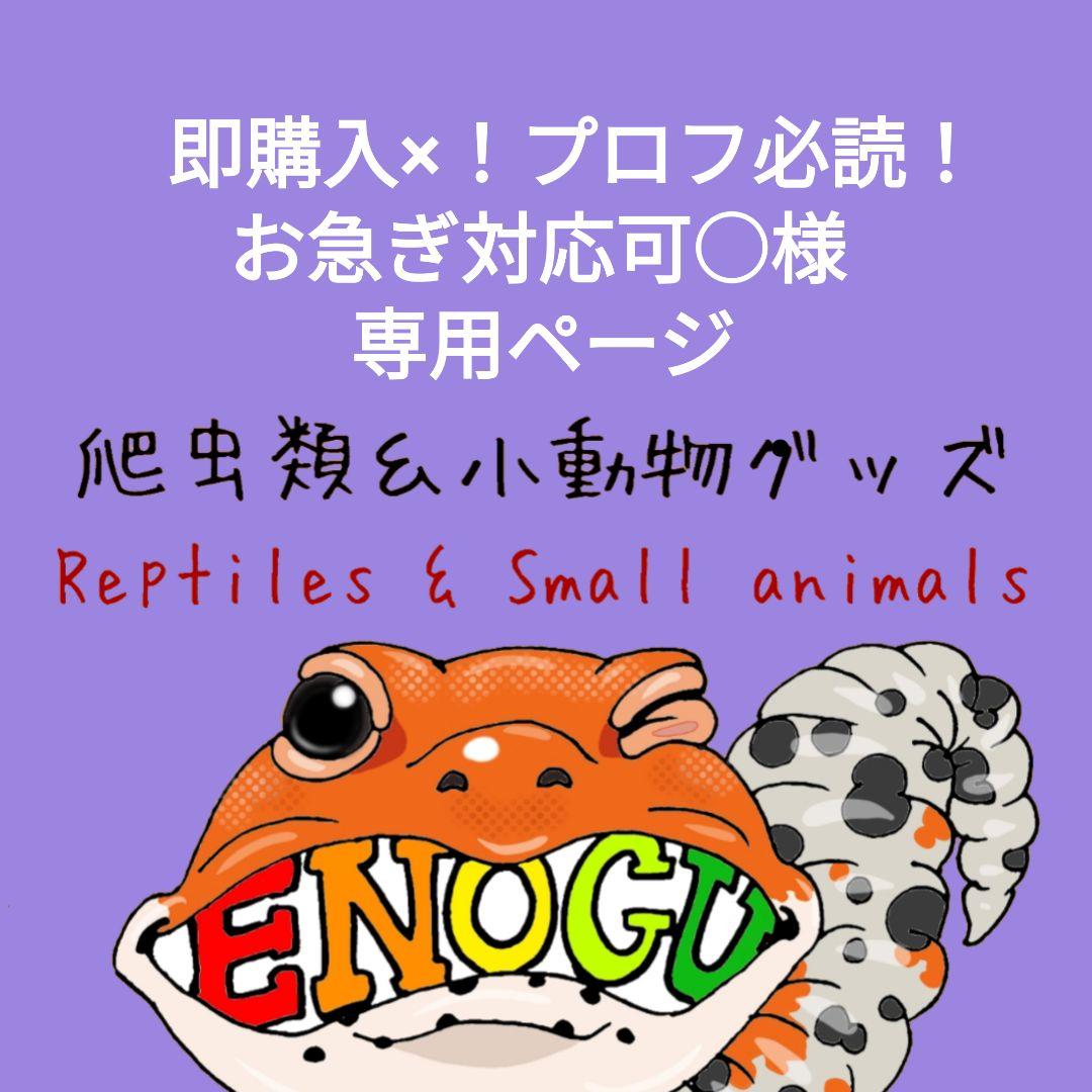 [即購入×！プロフ必読！お急ぎ対応可○]爬虫類ステッカー