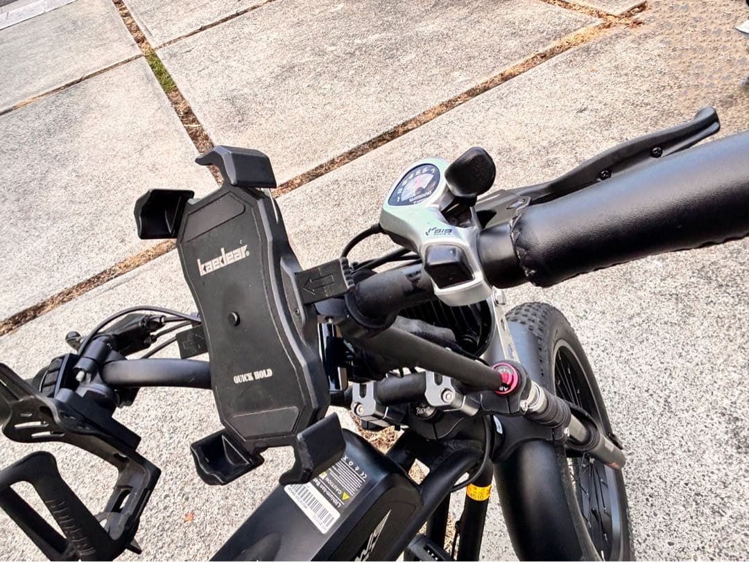 【走行50km未満・トルクセンサー搭載・カスタム有】FLOW BIKE 正規品