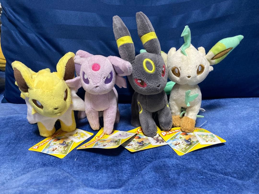 ポケモンセンター　キャンバス　ぬいぐるみ　タグ付き　4点セット