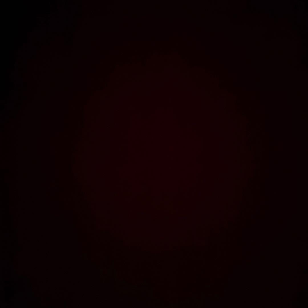 天ぷら
