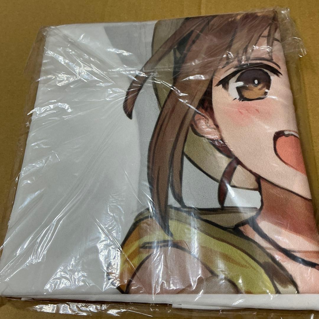 ライザのアトリエ　等身大布ポスター ライザ