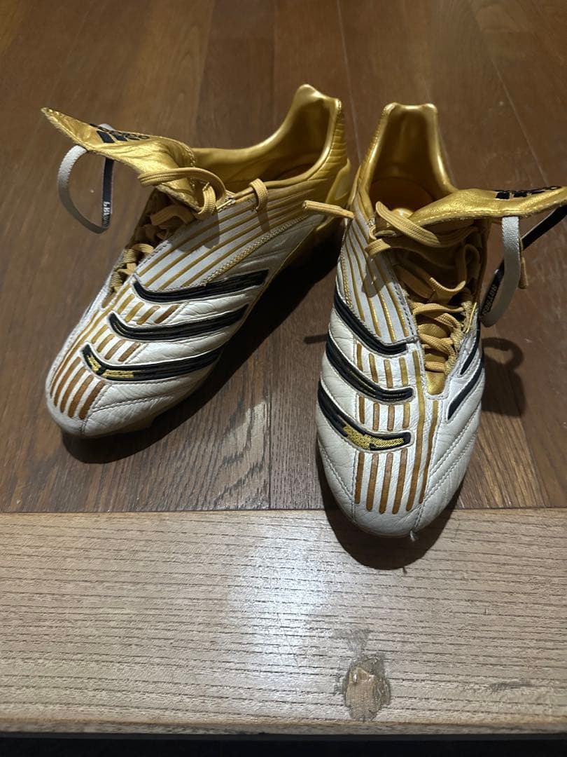 貴重！プレデターアブソリュートFG