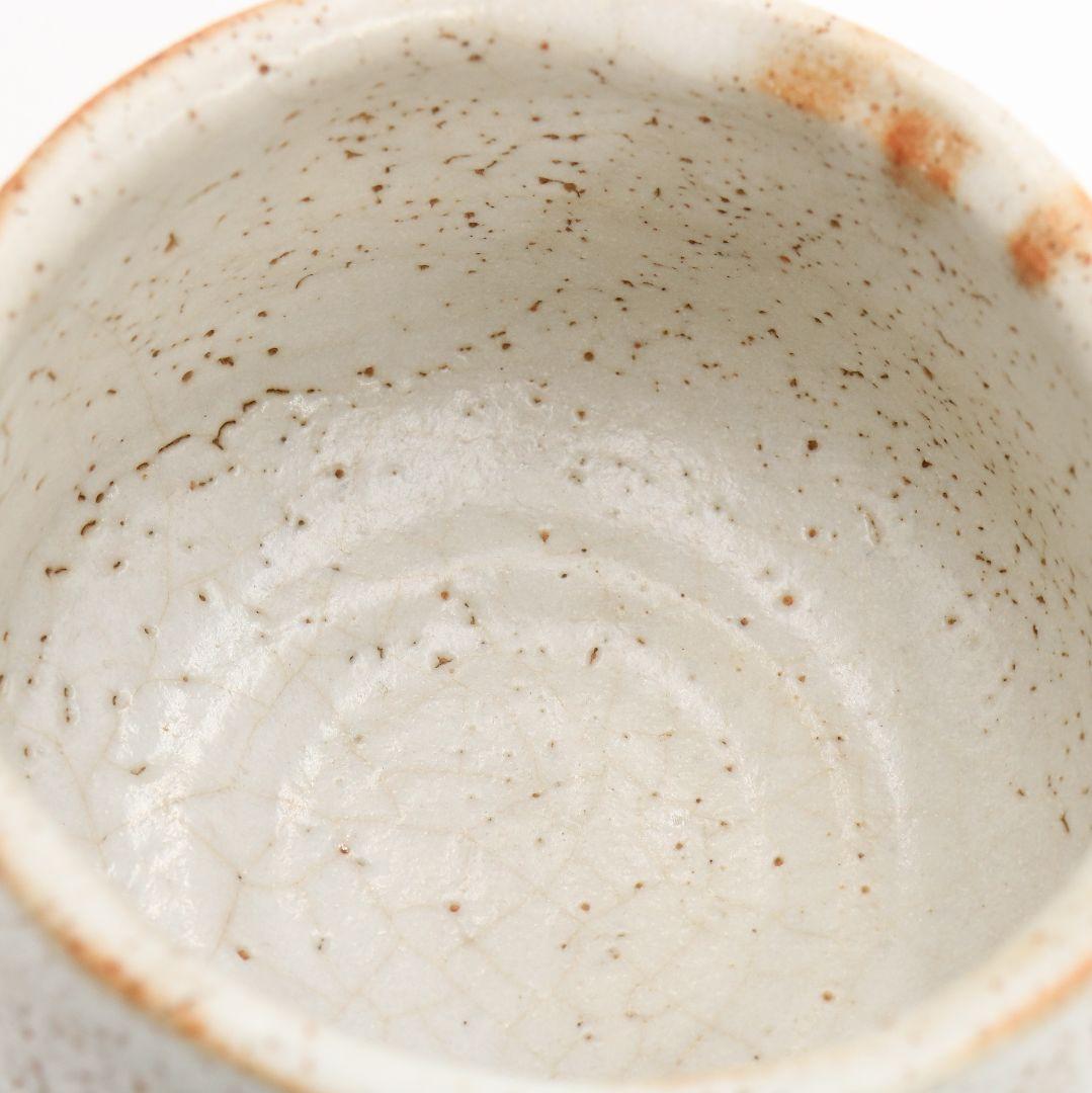 人間国宝 荒川豊蔵作 志野茶碗 二重箱 仕覆付 茶道具 共箱　V530