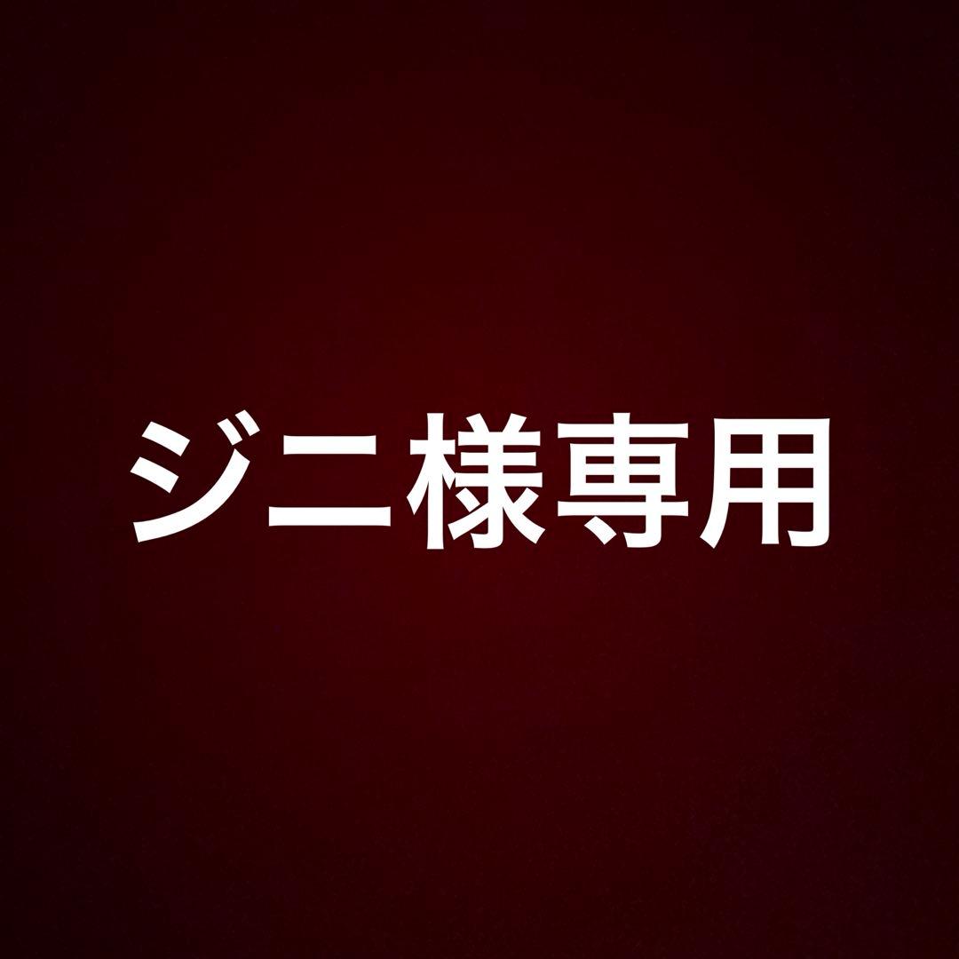 ジニ