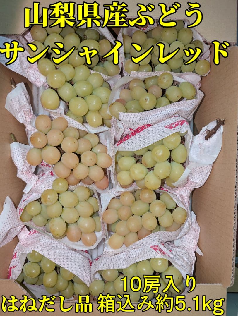 山梨県産ぶどう　サンシャインレッド　10房入り箱込み約5.1kg