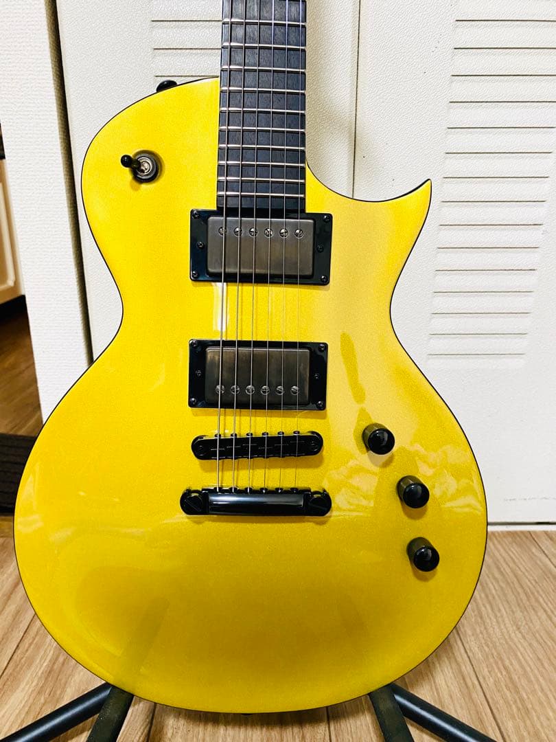 ESP LTD EC-2025 50th Anniversary世界限定500本