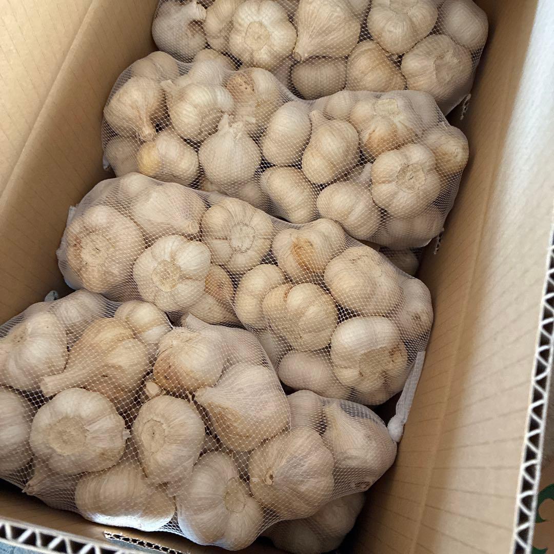 新物　青森県にんにく10Kg Ｓ