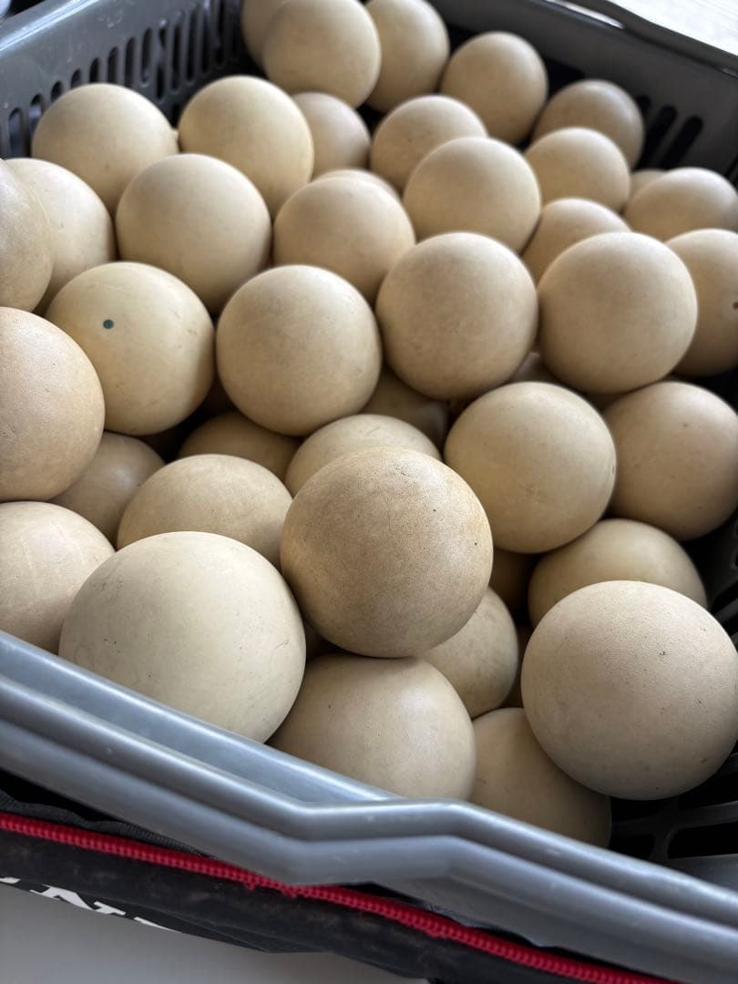 ソフトテニス練習用ボール100球プラスおまけ球