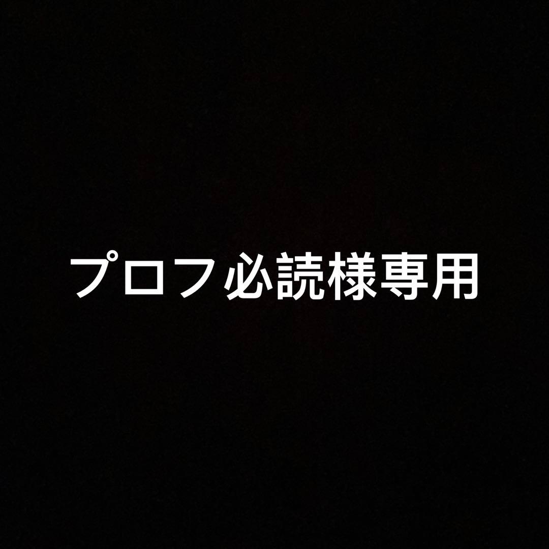 プロフ必読