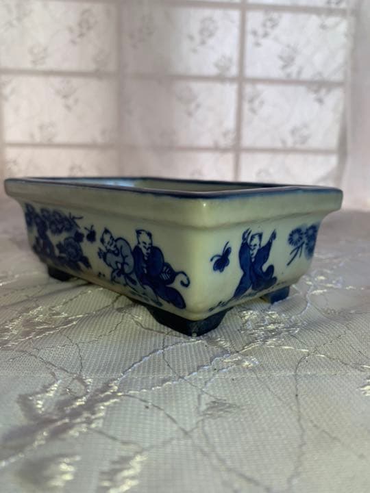 松泉　盆栽鉢