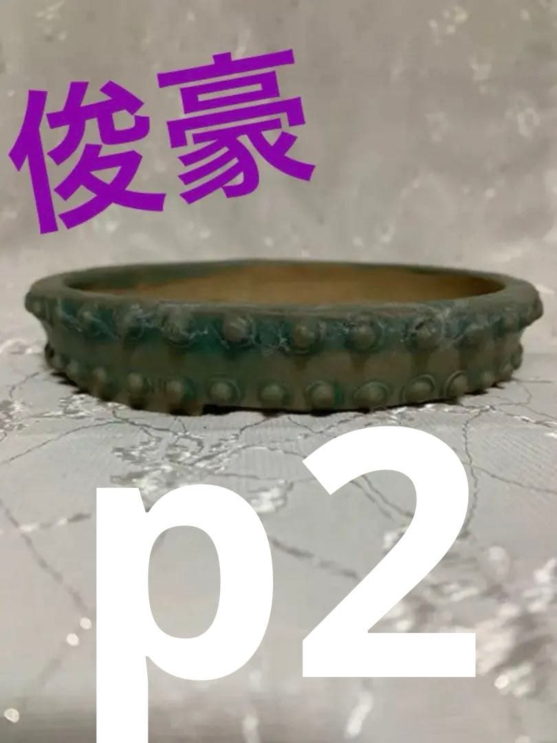 俊豪