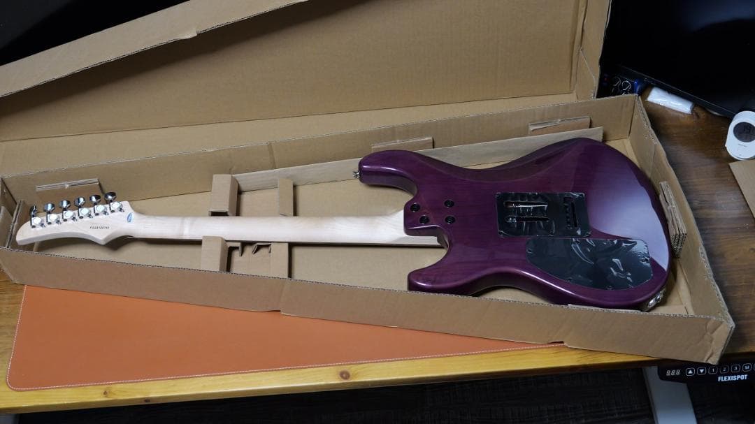 FERNANDES / NTG-LTD ’24 STP ガルクラ ヒナモデル