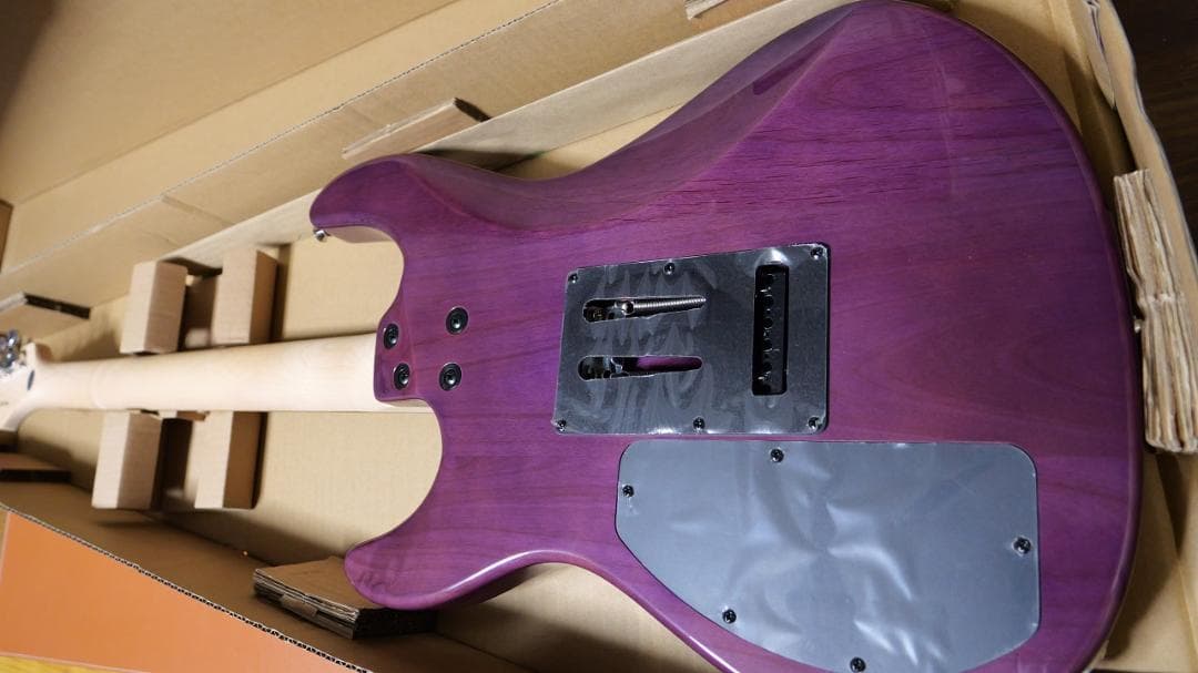 FERNANDES / NTG-LTD ’24 STP ガルクラ ヒナモデル