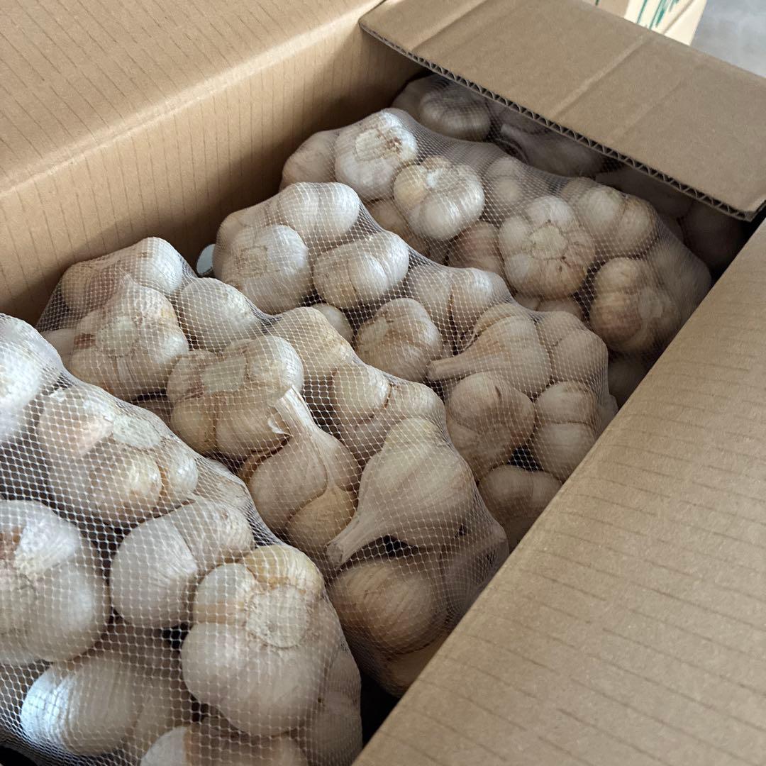 新物　青森県にんにく20Kg ML 良品
