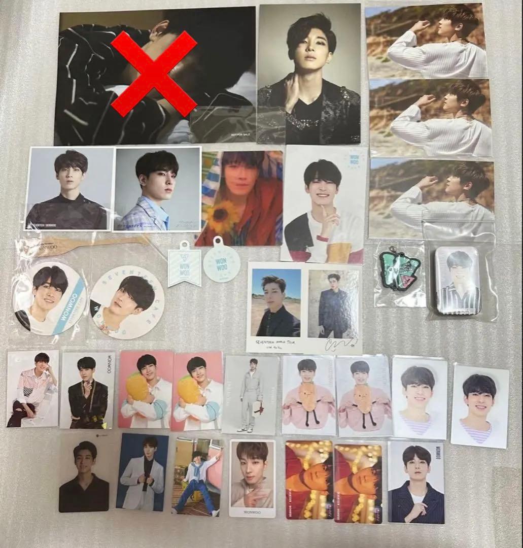 SEVENTEEN WONWOO ウォヌ セブチ グッズ